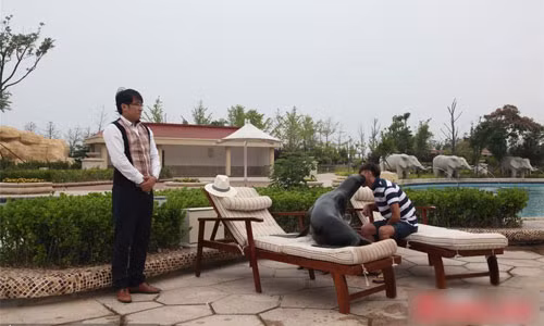 Chú sư tử và chủ nhân giàu có nghỉ ngơi trên ghế. Bên cạnh đó là quản gia túc trực 24/24h để phục vụ vị đại gia và thú cưng.