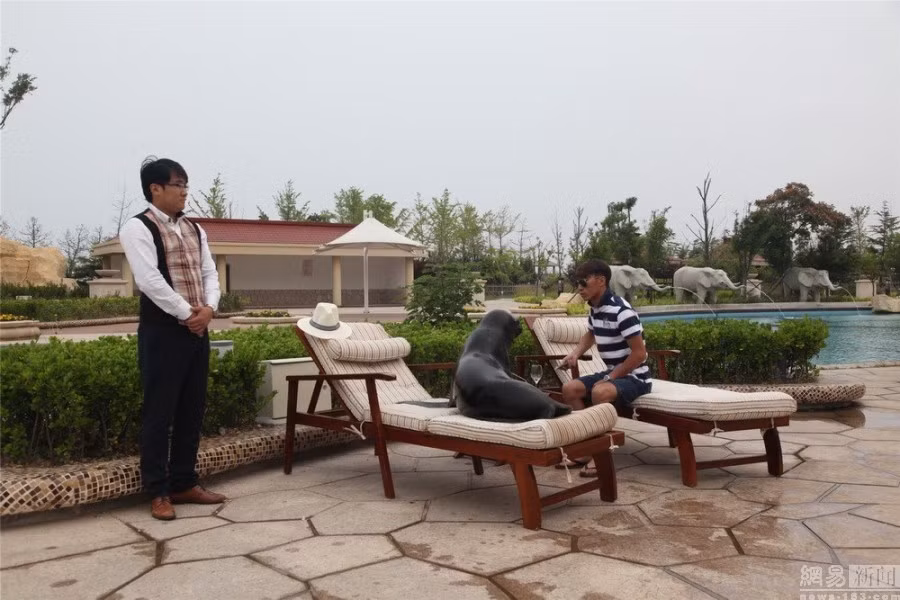 Ngoài việc thuê trọn cả bể bơi, đại gia hào phóng này còn đặt rất nhiều món ngon để thú cưng của mình có một bữa tiệc sinh nhật thịnh soạn.