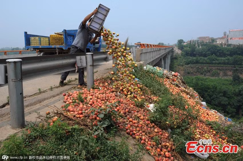Xem Trung Quoc do bo hang tan dao gia beo