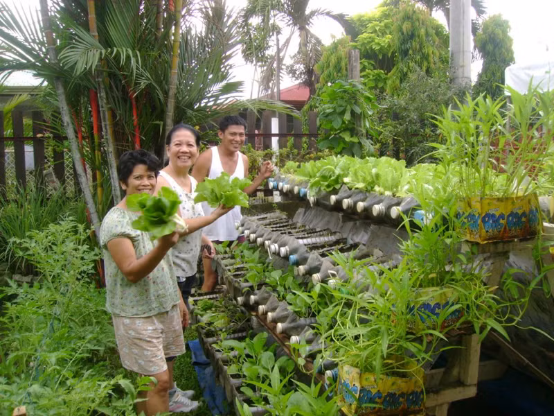 Những chai nhựa có thể được biến tấu theo nhiều cách để tạo thành khu vườn rau xanh sạch.