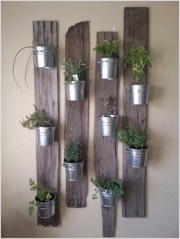 Đóng các miếng gỗ lên tường rồi treo các chậu cây cảnh cũng là ý tưởng tuyệt vời để trang trí nhà cửa.