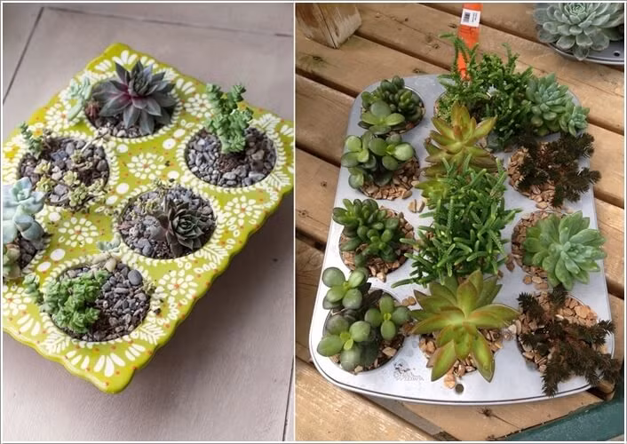 Với các vật dụng nhà bếp không dùng tới nữa, bạn có thể biến hóa chúng thành những chậu hoa trang trí rất dễ thương.