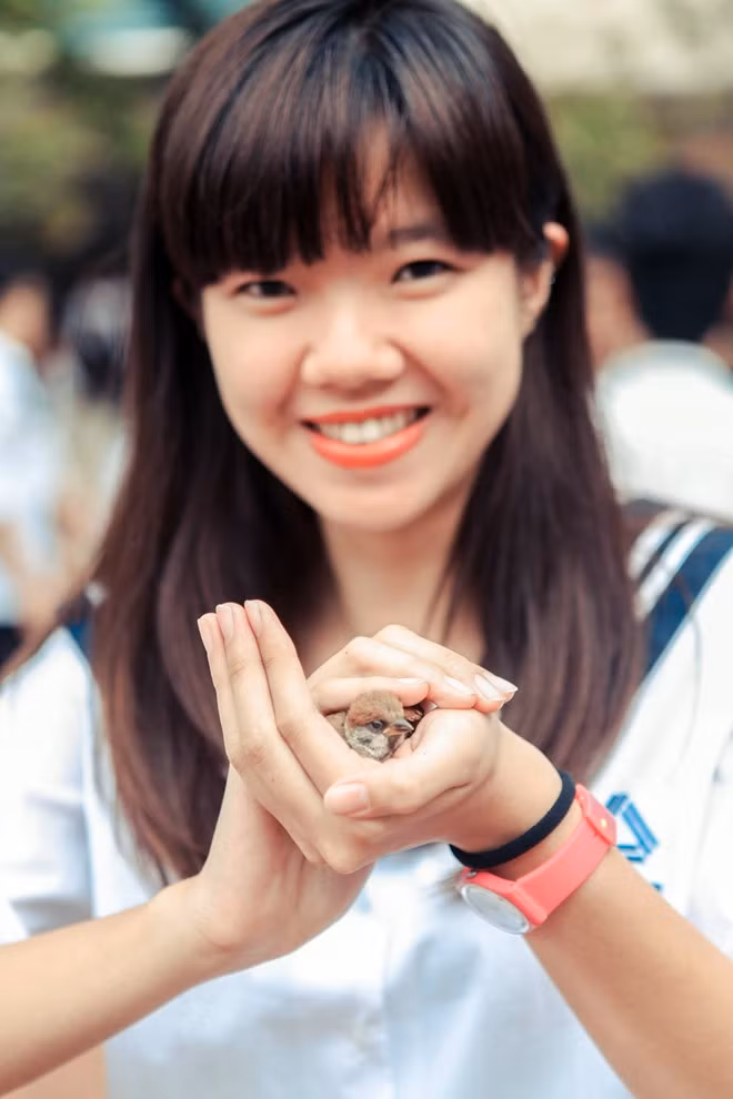 Những hình ảnh đẹp này sẽ luôn khắc ghi trong mỗi học sinh khi nhớ về tuổi học trò.