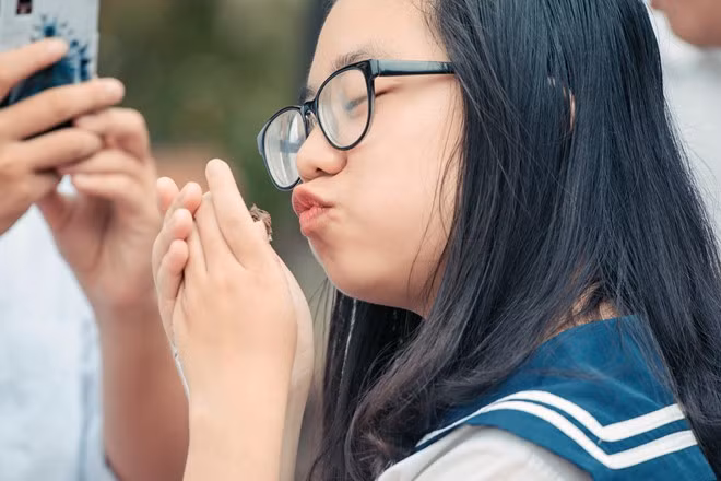 Cô giáo Dương kể: "Cô để ý thấy có một bạn gái bé nhỏ, tóc buộc phía sau nâng niu chú chim yếu ớt không bay được. Cô bé đỡ lấy chú chim và thả vào khu vườn cỏ, dưới gốc phượng. Có lẽ, cô bé sợ các bạn vô ý đá phải chú chim bé bỏng khi mải chơi đùa. Hình ảnh ấy khiến cô ghi nhớ".