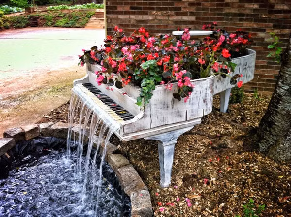 Chiếc bàn piano biến thành một "khuôn viên" trồng hoa rất ấn tượng.