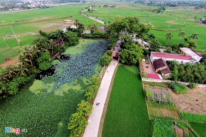 Đường Lâm được xếp hạng di tích quốc gia từ năm 2005. Cổng làng là một trong những góc thơ mộng nhất với cây đa, bến nước, đầm sen, ao bèo, ruộng lúa... đặc trưng của nông thôn Việt Nam.
