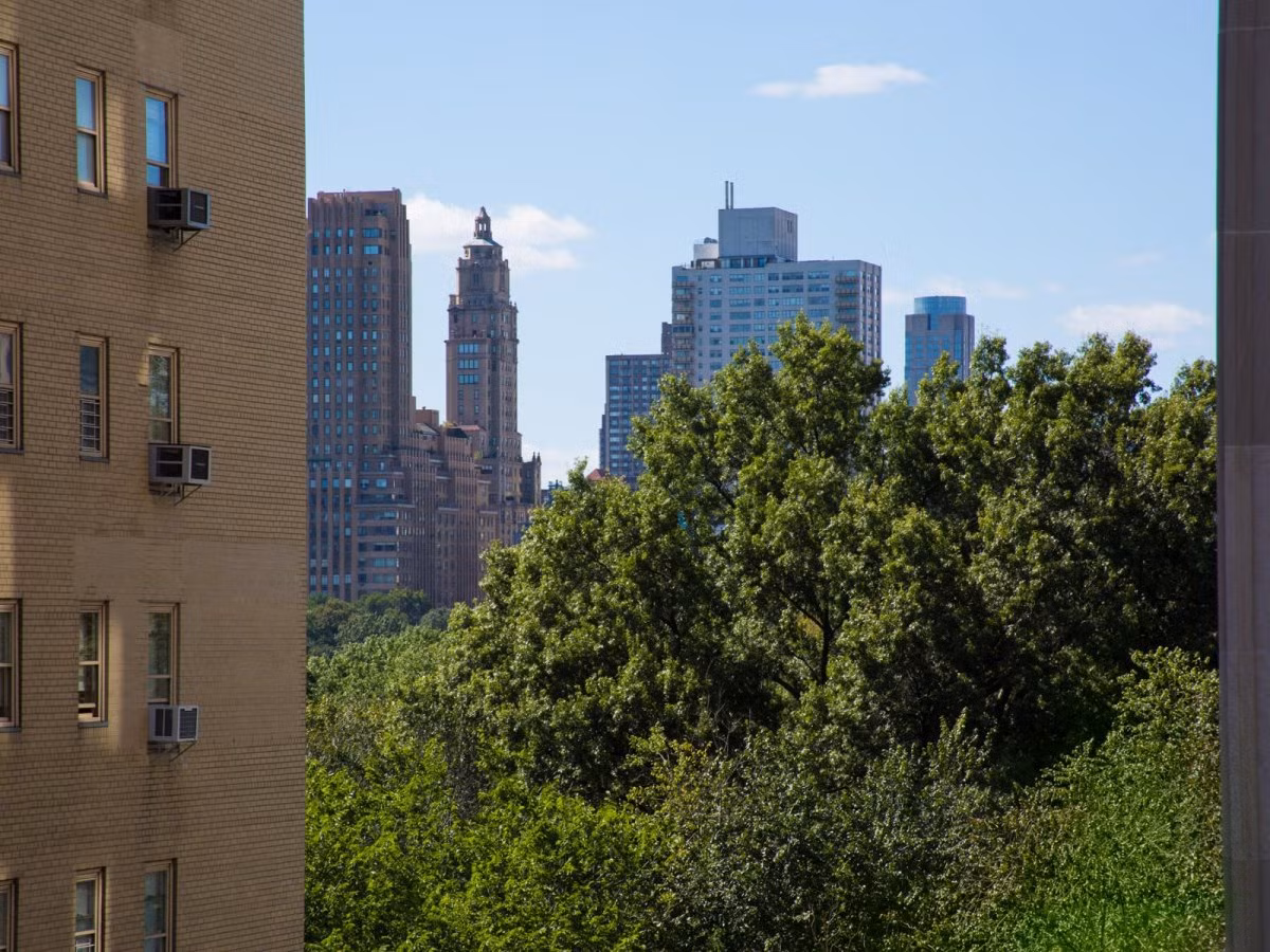 Từ tầng trên cùng của dinh thự còn có thể nhìn thấy công viên Central Park.