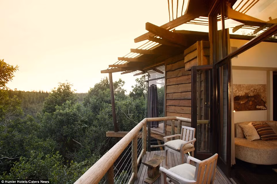 Khách sạn trên cây Tsala Treetop Lodge ở Nam Phi sẽ mang đến cho du khách cảm giác nghỉ ngơi thư thái với những dịch vụ, tiện nghi đẳng cấp giữa thiên nhiên hoang sơ đúng chất.