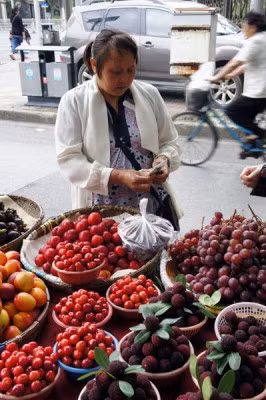 Quả thanh mai có vị chua ngọt, thanh mát nên được nhiều người lùng mua trong những ngày hè nóng nực.