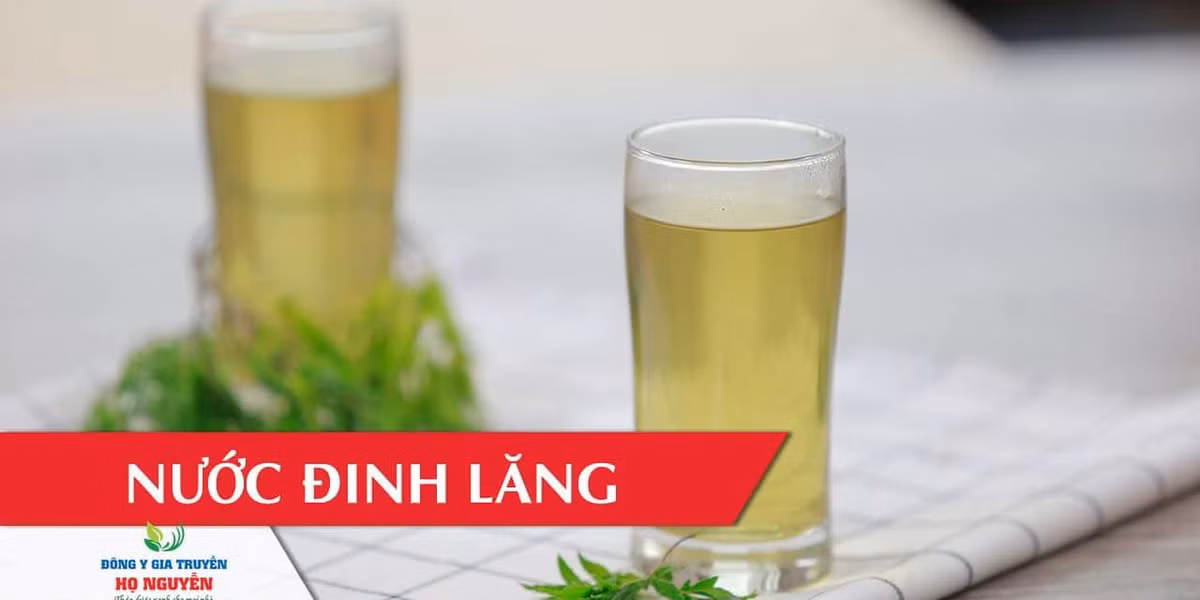 Cách dùng như sau: Lá đinh lăng rửa sạch dưới vòi nước, thái nhỏ, phơi khô và sao vàng. Mỗi ngày dùng từ 10-12g đun nhỏ lửa uống thay nước hàng ngày. Ảnh: dongyhonguyen.com.