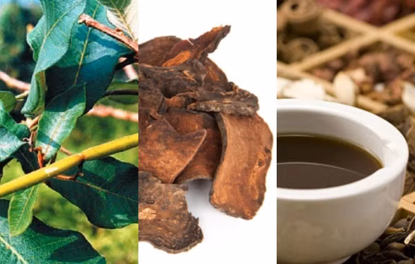 3. Bồi bổ sức khỏe, tăng sức đề kháng: Hà thủ ô đỏ (50g), sâm Bố Chính (30g), hạt sen (30g), cam thảo (10g), đại hồi (10g), thảo quả (10g). Ba vị hà thủ ô, sâm, hạt sen đem đồ chính; cam thảo nướng vàng; thảo quả bỏ vỏ, lấy nhân. Tất cả sấy khô, tán nhỏ, rây bột mịn, luyện với mật ong làm viên bằng hạt đậu đen. Ngày uống hai lần với nước ấm. Ảnh: cocayhoala.vn.