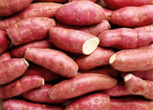 3. Chè ngô khoai lang. Nguyên liệu: Khoai lang, ngô ngọt, gạo nếp, đường. Khoai lang rửa sạch, cạo vỏ, bổ miếng vuông rồi ngâm nước cho khỏi thâm. Ngô nạo theo hướng dẫn dưới hình hoặc bạn dùng dao cắt dọc bắp nha. Ảnh: moitruong.net.vn.