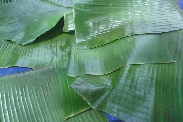 Pha nước ướp và ướp gà: Gừng, tỏi cạo sạch vỏ, rồi dùng dao đập dập băm nhỏ, tiếp nối cho vào tô pha cùng theo với một ít gia vị gồm: đường trắng, nước mắm, muối ăn, dầu rán trộn đều 30 phút. Ảnh: dantri.com.vn.