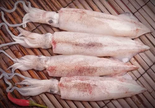 4. Mực nhồi thịt bỏ lò. Nguyên liệu: Mực ống to, thịt lợn nạc, mỡ khổ, nấm hương, mộc nhĩ, hành củ khô, tỏi khô, miến, khoai tây, bột đao, rau mùi, mỡ nước, mạch nha, nước mắm, muối tiêu, mì chính. Ảnh: haisannamdinh.com.