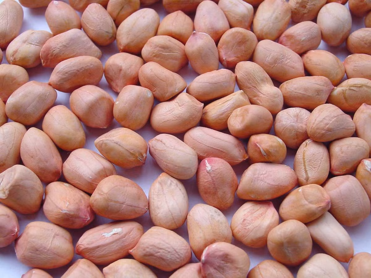 3. Gà nướng đậu phộng. Nguyên liệu: Cánh gà, tương ớt, đường nâu, nước tương, gừng, tỏi, giấm gạo, nước cốt chanh, lạc, rau mùi, ớt bột, hành lá, muối, tiêu. Ảnh: JAMJA.vn.