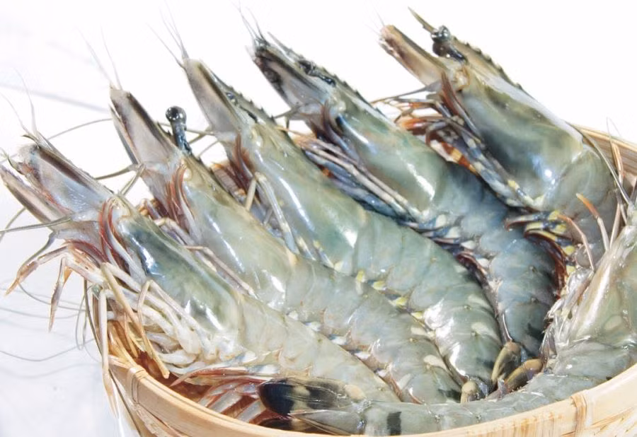 2. Tôm hấp lá sen. Nguyên liệu: Tôm tươi, tỏi xay, dầu vừng, lá sen non, hành hoa, cà rốt, tương đậu nành, gia vị, tiêu. Lấy đĩa tròn lót lá sen và xếp tôm vào trong lá sen. Ảnh: Menu24h.vn.
