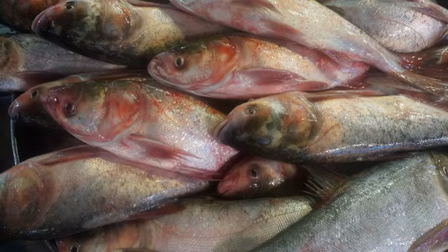 3. Cá mè hoa nấu canh chua dứa. Nguyên liệu: Cá mè, lá ngổ, ngò, dưa chua, ớt, cà chua, gia vị, dứa. Rửa sạch các nguyên liệu, cá mè cắt miếng vừa ăn rán vàng. Ảnh: Nhanong.com.vn.