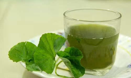 Trong khi đó, một số người lại uống nước rau má khi cảm thấy nóng bụng hay cảm thấy bụng ì ạch khó tiêu vì nghĩ rằng nước ra má có tác dụng thanh nhiệt, uống vào sẽ dễ tiêu hóa. Ảnh: iwthanoi.