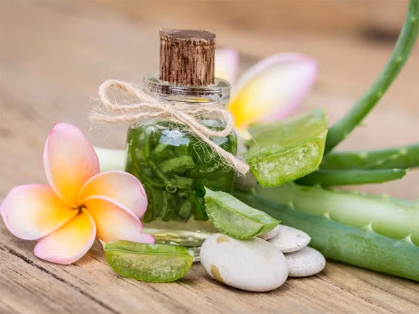  2. Tinh dầu tràm trà + nha đam cho làn da bị mụn trứng cá: Cho 2 thìa gel nha đam và 2 giọt tinh dầu tràm trà vào trộn đều. Thoa hỗn hợp lên da mặt và để yên trong 10 phút. Rửa mặt sạch bằng nước âm ấm. Áp dụng phương pháp này 2 lần/tháng để có làn da đẹp hoàn hảo.
