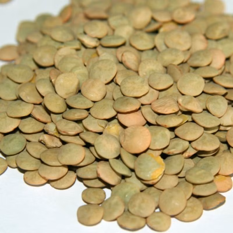 Nghiên cứu cho thấy rằng cứ tăng 10g chất xơ hòa tan tiêu thụ thì tỷ lệ tích lũy mỡ nội tạng giảm tới 3,7%. Ảnh: thitruongsi.