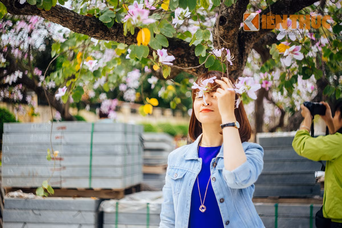 Gioi tre Ha thanh me dam hoa ban, hoa sua dua no-Hinh-7