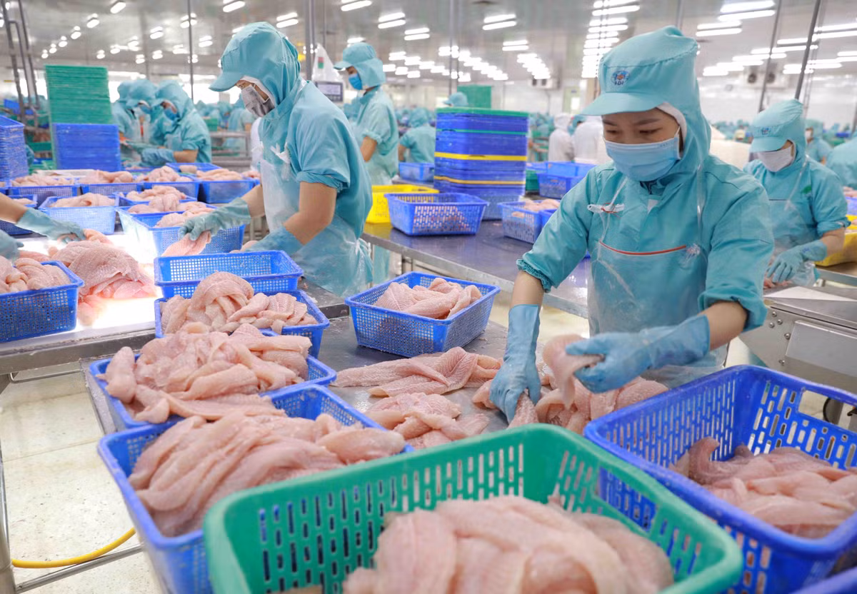 Nhu cầu và giá xuất khẩu cá tra sẽ phục hồi từ nửa cuối 2023? Nhu cau va gia xuat khau ca tra se phuc hoi tu nua cuoi 2023?
