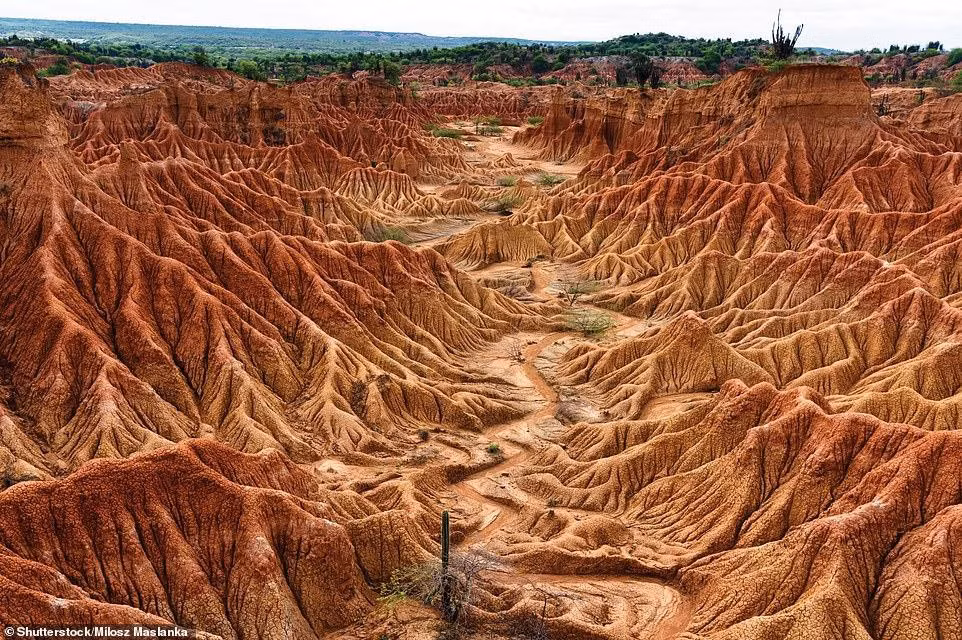 Khu rừng khô ở hoang mạc Tatacoa thuộc Villavieja, tỉnh Huila, Colombia. 