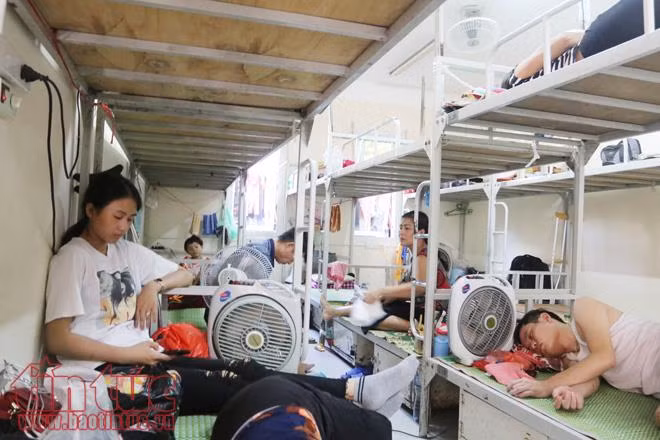 Theo chia sẻ của quản lý khu nghỉ trọ, nhu cầu của người nhà bệnh nhân thuê trọ tại khu lưu trú luôn ở mức cao điểm. Toàn bộ 194 giường bệnh luôn trong tình trạng kín chỗ.