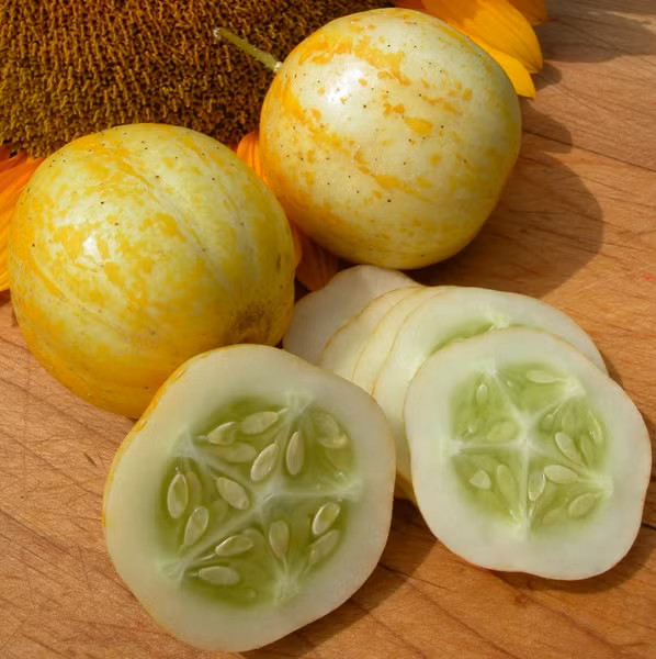 Dưa chuột chanh được dùng trong các món salad, các loại cocktail, smoothies hoặc ăn nhẹ. Chúng đặc biệt tốt cho trẻ em vì chứa nhiều dinh dưỡng và dễ tiêu hóa.