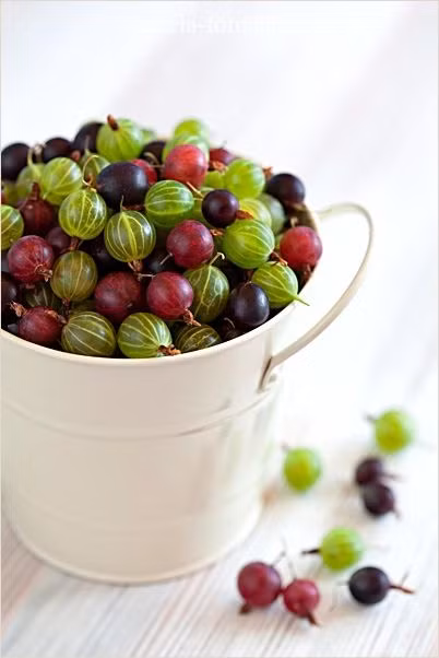 Gooseberry có loại chua dùng cho nấu ăn và loại ngọt dùng cho các món salad hoặc ăn tươi.