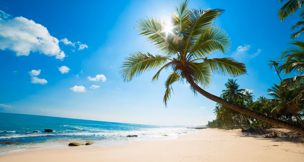 Bên cạnh đó, chương trình bán vé rẻ 70.000 đồng của hãng hàng không Jetstar thực hiện từ 11h ngày 28/8 đến hết ngày 2/9/2015. Trong đó, 9 đường bay giữa TP HCM – Phú Quốc, Buôn Ma Thuột, Nha Trang, Quy Nhơn, Đà Nẵng, Tuy Hòa, giữa Hà Nội – Đà Nẵng và Hà Nội – Băng Cốc, Hồng Kông, hưởng ưu đãi này nhân Quốc Khánh 2/9.