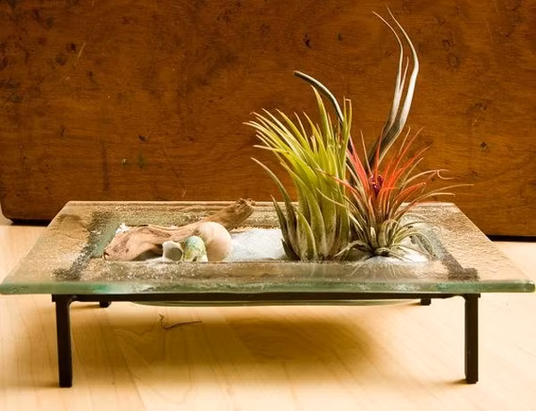 Tham khảo ý tưởng trồng cây, sắp đặt các bức tượng, mảnh gỗ trong ý tưởng này.