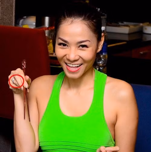 Không ít người ngưỡng mộ cuộc sống xa hoa, đẳng cấp của Thu Minh.