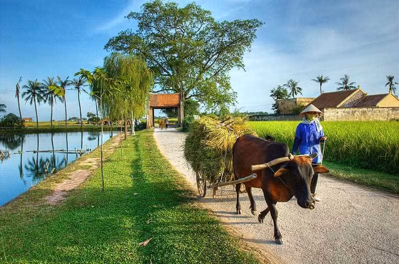 Dịp nghỉ lễ 2/9 vào ngày giữa tuần (thứ tư), thời gian nghỉ không nhiều nên những điểm du lịch 2/9 không quá xa thành phố là ưu tiên hàng đầu của mọi người. Cách Hà Nội khoảng 44km, làng cổ Đường Lâm (Sơn Tây) có thể là điểm đến thú vị cho người yêu thích nét đẹp bình dị làng quê. Trung bình chuyến đi trong ngày chỉ mất khoảng trên dưới 300.000 đồng/người.