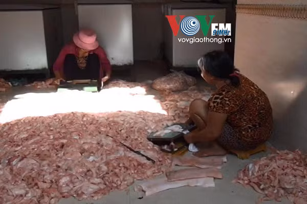 Phát hiện hàng tấn thịt thối chuẩn bị tuồn ra thị trường. Theo một cán bộ Chi cục Bảo vệ thực vật tỉnh Bình Dương, dung dịch CO 2,4D giúp tiêu diệt các vi sinh vật bám vào trái cây, do đó nhúng vào dung dịch này không chỉ giúp trái cây nhìn tươi ngon hơn, cứng hơn, mà còn có thể bảo quản được rất lâu. Nhưng, đây là loại hóa chất độc hại, rất nguy hiểm cho sức khỏe người tiêu dùng...