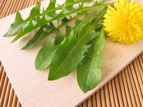 Bồ công anh. Thảo dược này giúp làm giảm việc sản xuất hormone dư thừa gây ra sự hình thành của u nang buồng trứng. Cây bồ bông anh giúp làm chậm sự phát triển của u nang. Bồ công anh cũng giúp làm giảm đau vùng xương chậu và giảm viêm do u nang buồng trứng. Để điều trị u nang buồng trứng, bạn có thể đun sôi lá bồ công anh và uống 3 lần/ngày sẽ cho hiệu quả cao.