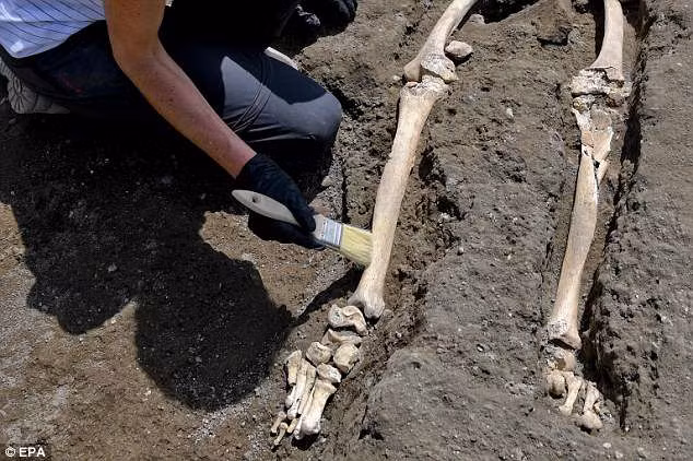 Trong sự kiện núi lửa Vesuvius ở Italy phun trào gần 2.000 năm trước, các thành phố Pompeii, Oplontis và Stabiae bị chôn vùi trong tro bụi núi lửa.