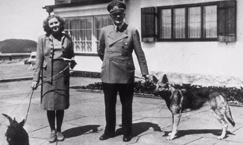 Các chuyên gia phát hiện một lỗ thủng ở bên trái hộp sọ của Hitler dường như là do một viên đạn xuyên qua.