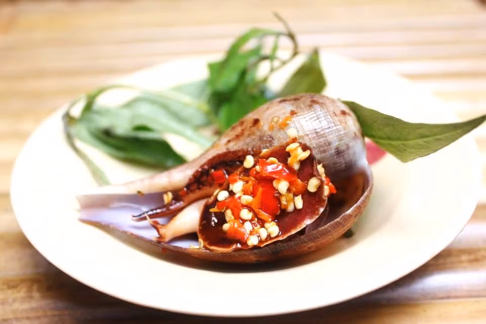 Ốc muỗng có vỏ mỏng màu hồng nhạt pha với màu nâu, đường xoắn ốc thấp. Ảnh facebook.
