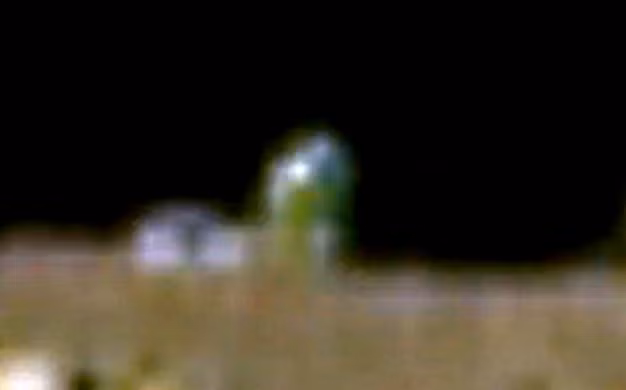 Nguồn ảnh: ufosightingsdaily.