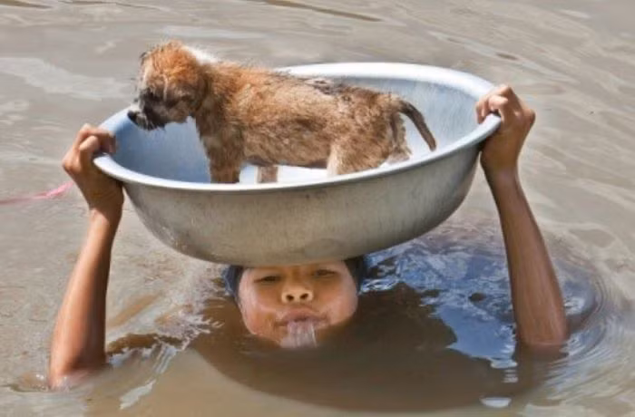 Cậu bé này chấp nhận ngâm mình trong làn nước lũ để cứu chú chó nhỏ của mình được an toàn.
