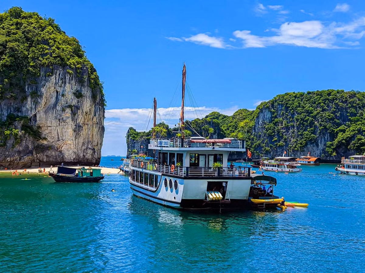 Các đảo đá vôi trong vịnh Lan Hạ đều được phủ thảm thực vật xanh mướt, hòa với màu nước biển xanh trong veo bên dưới. Ảnh: Vương Lộc