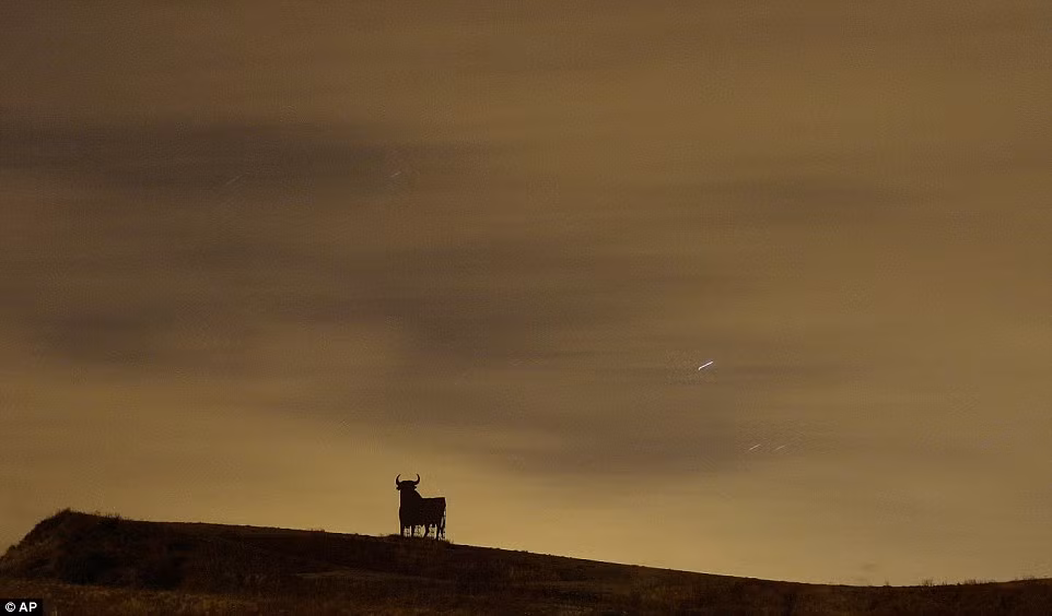 Mưa sao băng Perseids ở Cordoba, Tây Ban Nha.