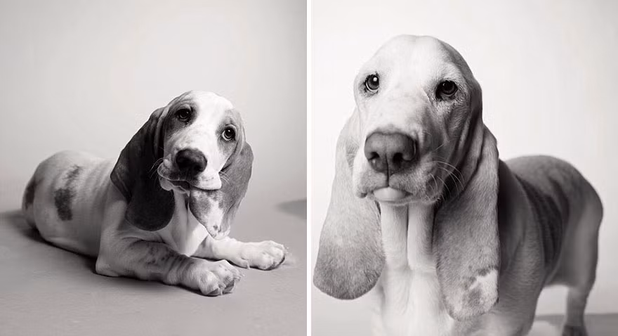 Poppy lúc 1 và 7 tuổi.