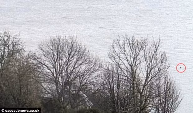 Thủy quái hồ Loch Ness nhô mình lên mặt nước.