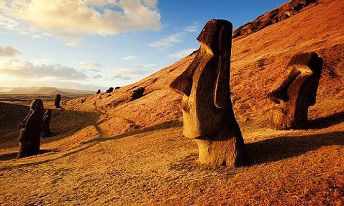 Theo các chuyên gia, những bức tượng Moai được tạc theo hình ảnh tổ tiên của người bản địa Rapa Nui. Mỗi bức tượng mang đặc điểm khác nhau từ cao, thấp đến béo, gầy. Chúng có kích thước rất lớn, nặng từ vài chục đến hàng trăm tấn.