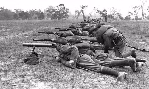 Do đó, quân đội Australia cử một lực lượng làm nhiệm vụ tiêu diệt loài chim emu đang "tác oai tác quái", phá hoại mùa màng của dân chúng bằng súng máy.