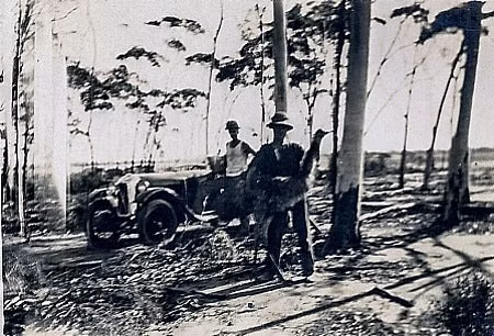 Đến giữa tháng 12/1932, quân đội Australia tiêu diệt được 986 con chim emu. Do chỉ tiêu diệt được một phần nhỏ loài chim emu nên cuối cùng cuộc chiến nhanh chóng chấm dứt. Theo đó, cuộc chiến với chim emu năm 1932 được ghi nhận là lần đầu tiên một loài chim giành chiến thắng trong một chiến dịch quân sự. video: Cuộc chiến kỳ lạ của một samurai cuối cùng (nguồn: VTC14)