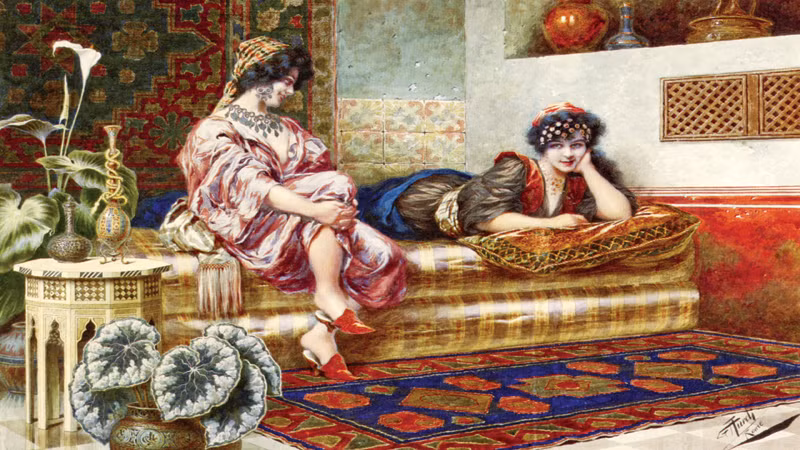 Cụ thể, hàng trăm phi tần, mỹ nữ hầu hạ chuyện "chăn gối" của Sultan có xuất thân từ nhiều tầng lớp khác nhau như quý tộc, thường dân hay thậm chí là nô lệ được lấy làm "chiến lợi phẩm" từ các cuộc chiến đẫm máu mở rộng lãnh thổ.