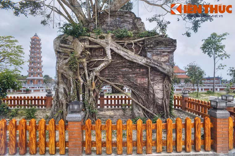 Sau khi chùa được tái dụng, chiếc cổng cũ với cây si mọc phía trên được lưu giữ như một chứng tích lịch sử.